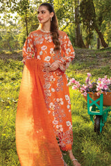 Rang Rasiya Carnation Festive Edit '24 Coco