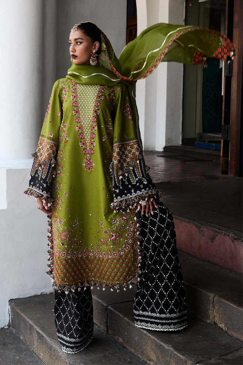 HUSSAIN REHAR- LUXURY LAWN'25 ABASS