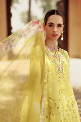 NOOR BY SAADIA ASAD - EID HANDWORK LASERKARI LAWN D1