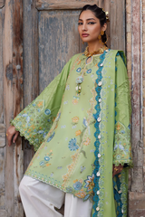 ELAN LAWN'25 ISLA BLEU BEL25-11 B