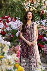 SABLE V. LUXURY FORMAL UNSTITCHED- 25 SL-02-25